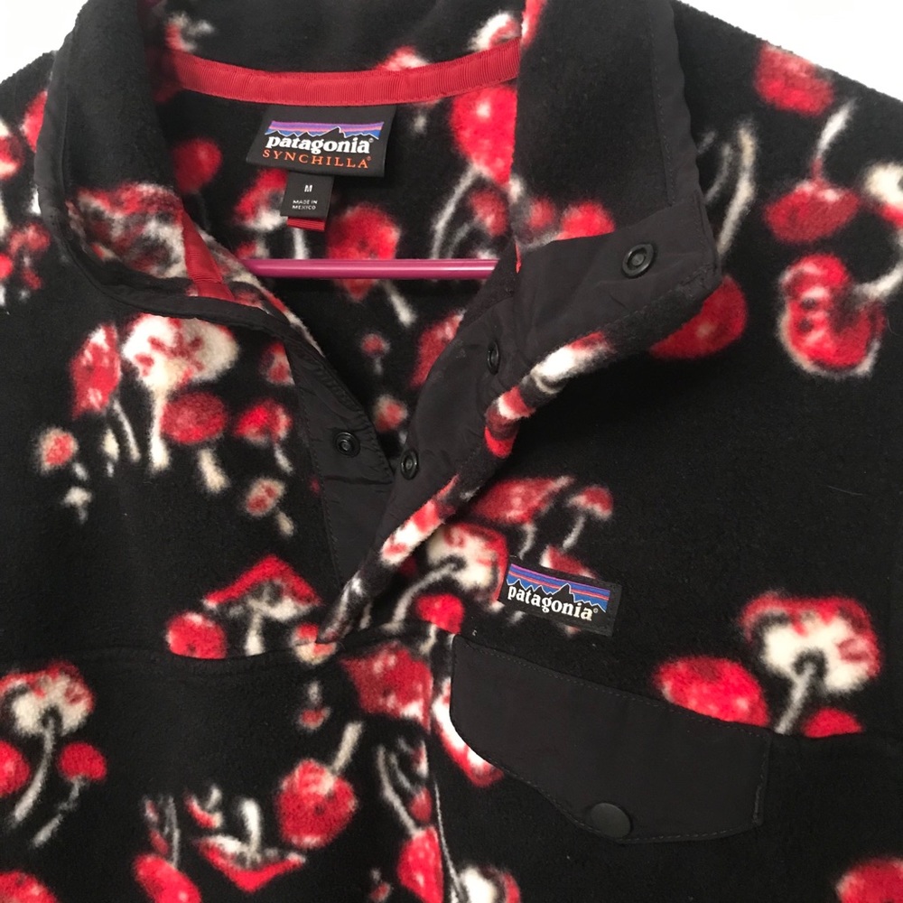 Patagonia Snap-T pullover